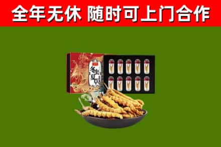 永顺县回收冬虫夏草价格